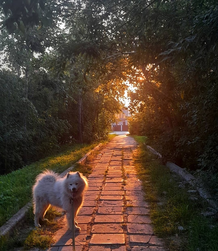 ������� ������ ����