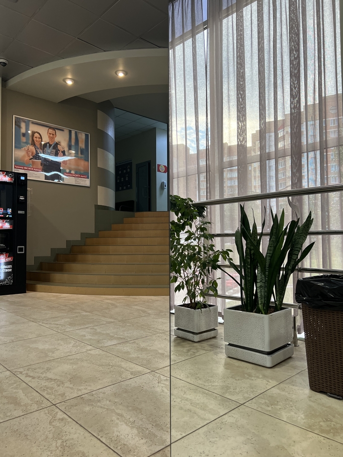 ��� ���� ����