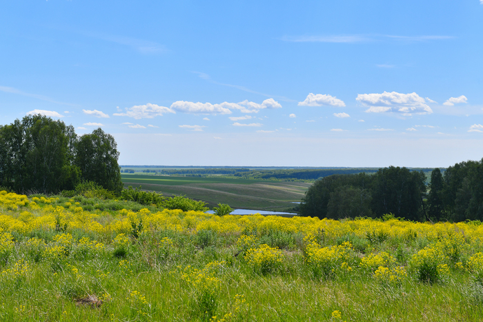 ������ ������