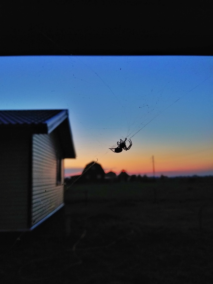 Дачный житель