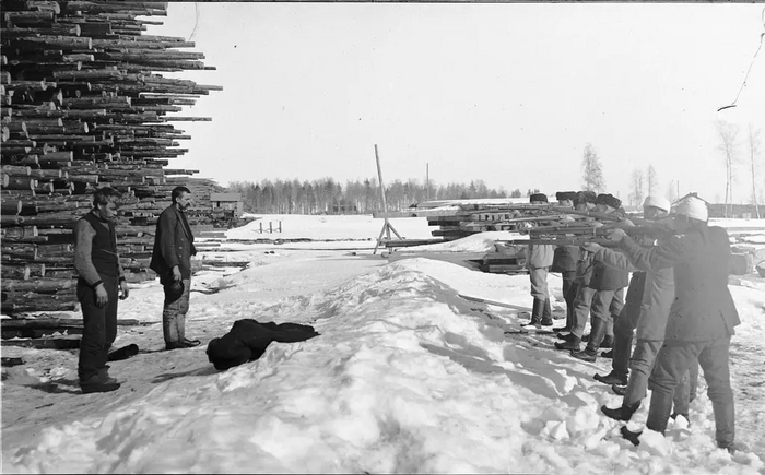 Интересные исторические фотографии ч. 22 Старое фото, Вторая мировая война, Великая Отечественная война, История, Фотография, Гражданская война, Первая мировая война, Порт, Бейрут, Расизм, Война во Вьетнаме, Кот, Билл Клинтон, Робин Уильямс, Концентрационный лагерь, Морской слон, Адольф Гитлер, Передозировка, Героин, Моторола, Длиннопост