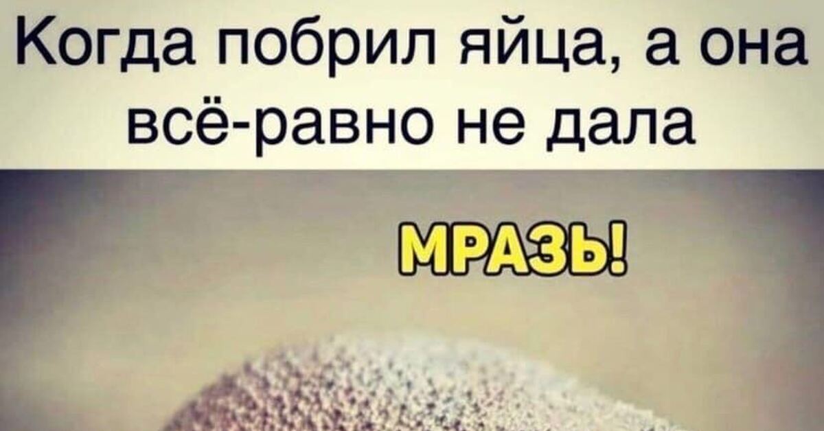 Жена спрашивает у мужа Дорогой что ты мне подаришь на