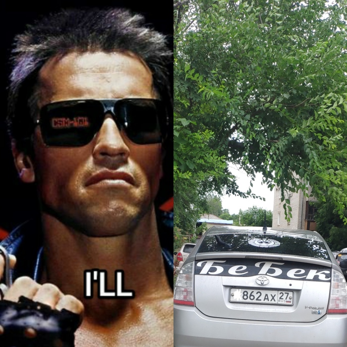 ������ ������