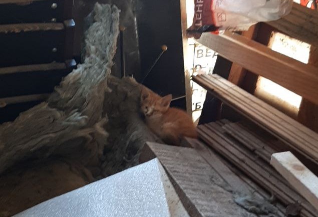 ����������. �������� ����� ������. ��������� �����. ����� ����� ������