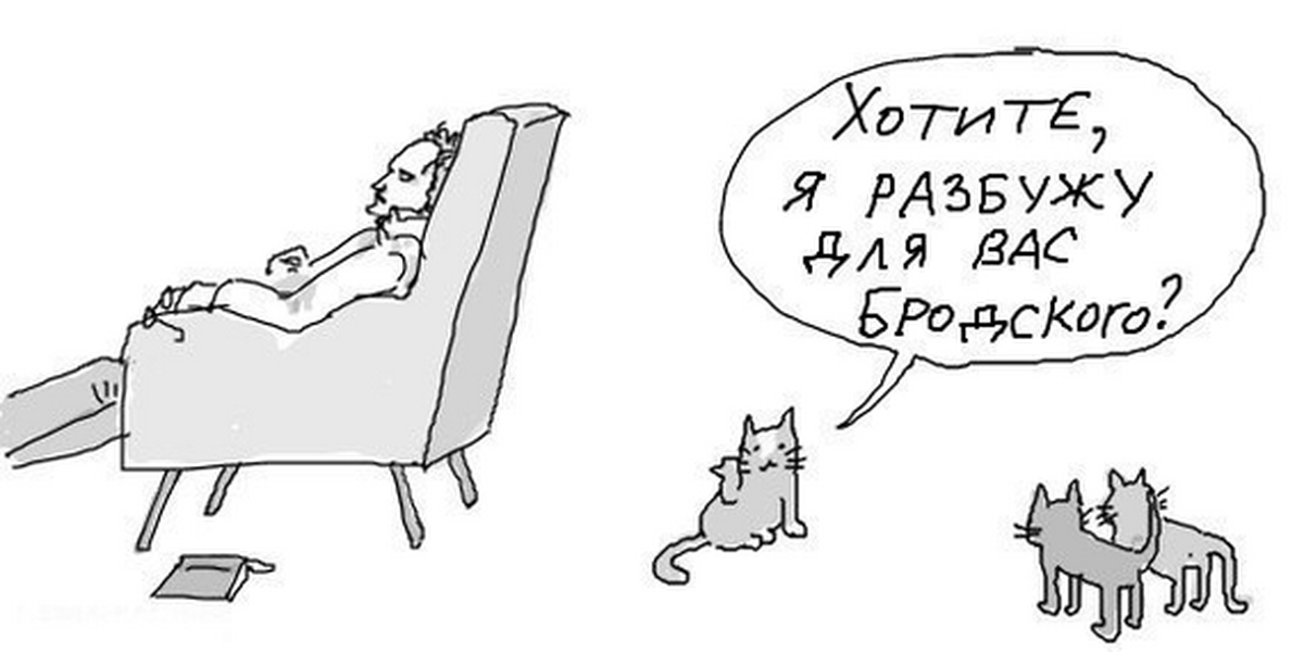 А вы это хотите. Хотите я разбужу для вас Бродского. Хотите я разбужу для вас кота. Рисунки Бродского коты. Бродский и коты.