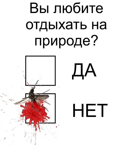 Отдых лето 2022