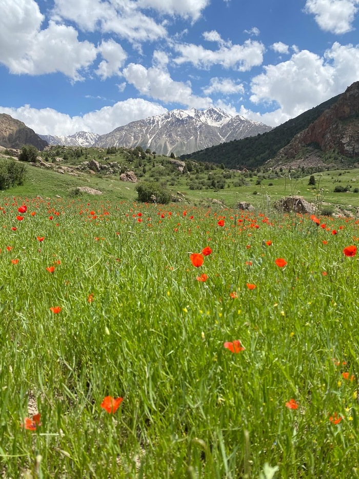 Таджикистан и Узбекистан проездом. Впечатления о странах Узбекистан, Таджикистан, Душанбе, Ташкент, Бухара, Самарканд, Средняя Азия, Туризм, Горы, Отпуск, Страны, Путешествия, СНГ, Длиннопост