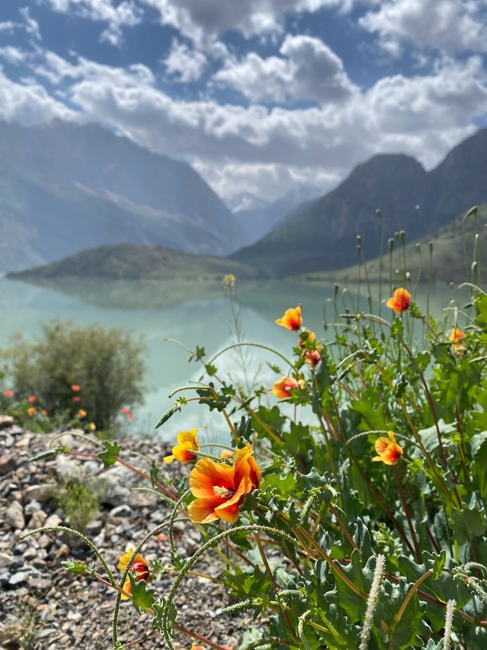 Таджикистан и Узбекистан проездом. Впечатления о странах Узбекистан, Таджикистан, Душанбе, Ташкент, Бухара, Самарканд, Средняя Азия, Туризм, Горы, Отпуск, Страны, Путешествия, СНГ, Длиннопост