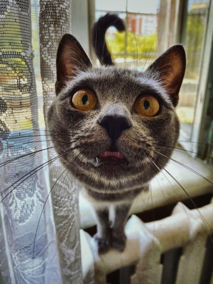 ���� - ��� ����� � ���� ��������