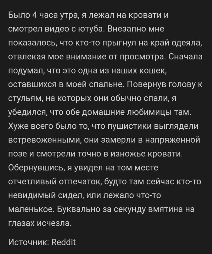 Призрак кошки