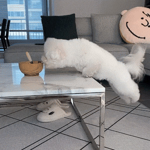      , , , 