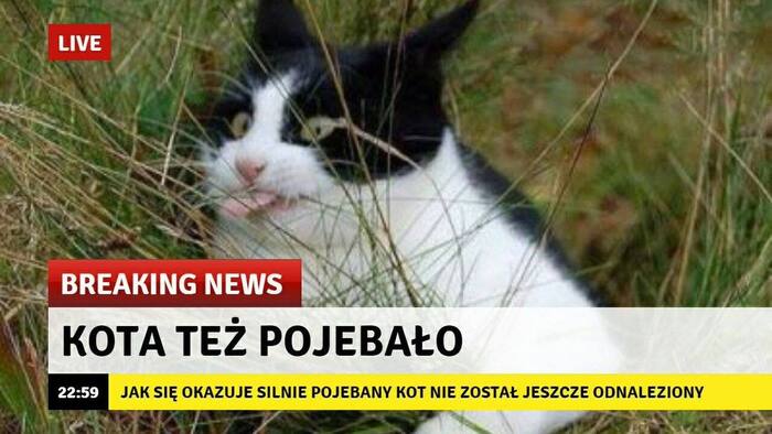  tez pojebalo , 