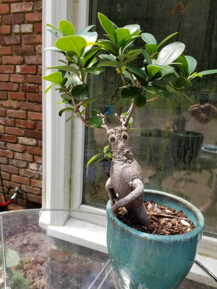 Забавно получилось