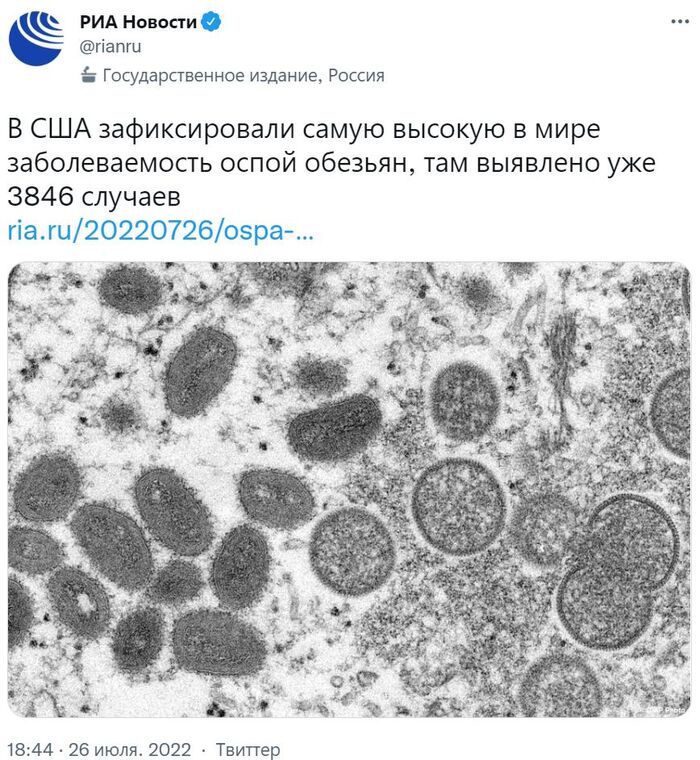   3846       , , , X (Twitter), ,  ,  , , 