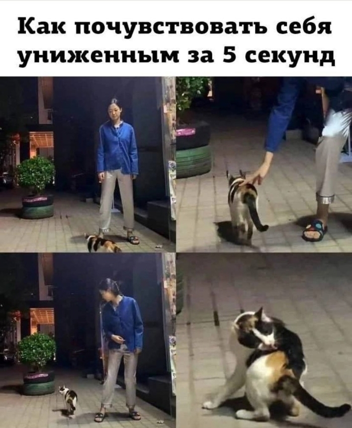 Унижение | Пикабу