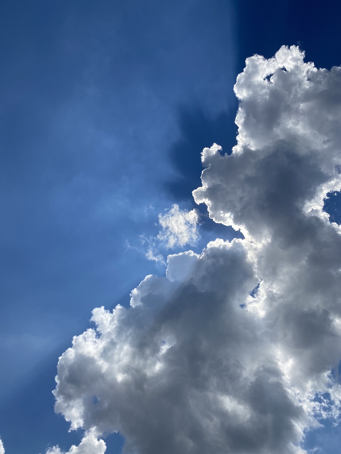 ���� �������