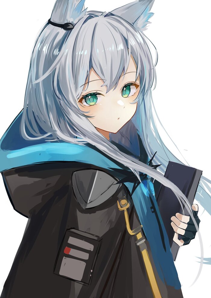 Arknights operators , Anime Art, Arknights, Magallan, Texas (Arknights), Vigna (Arknights), Rosmontis, Amiya, Indigo (Arknights), , Animal Ears