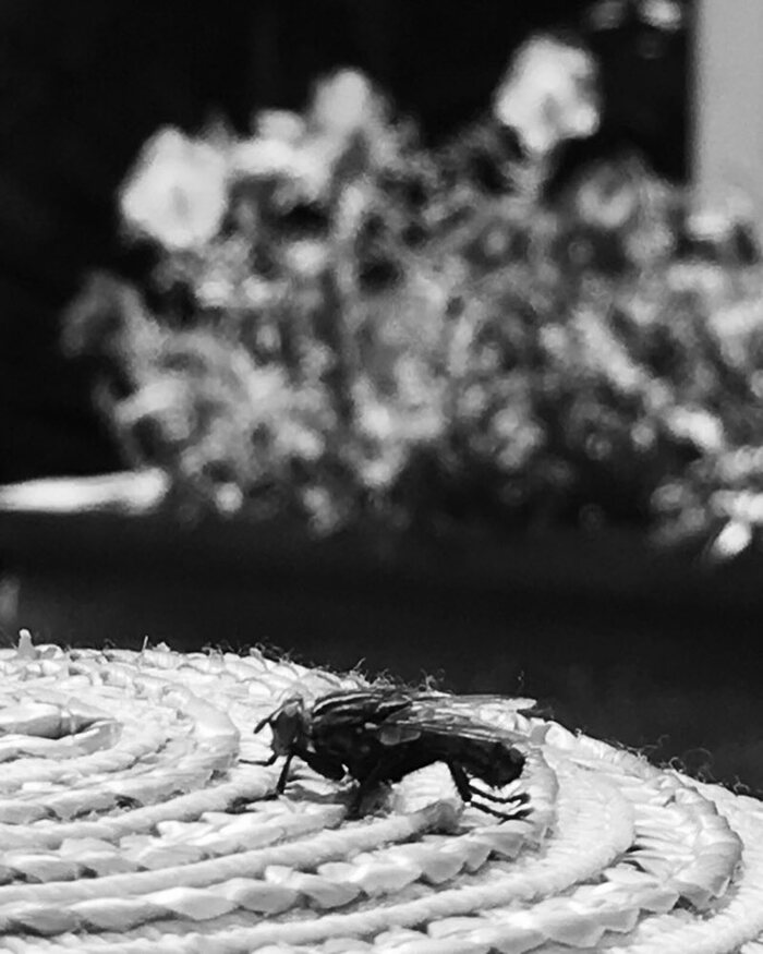 #10 � ����