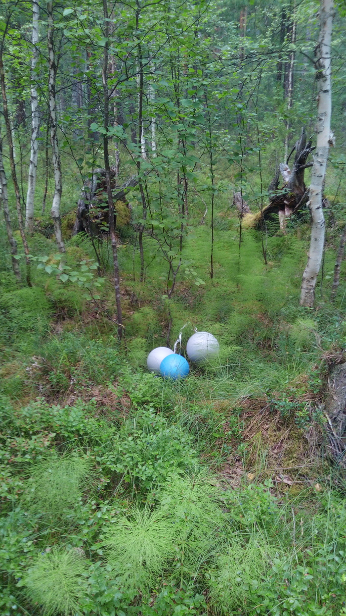 �� �������...