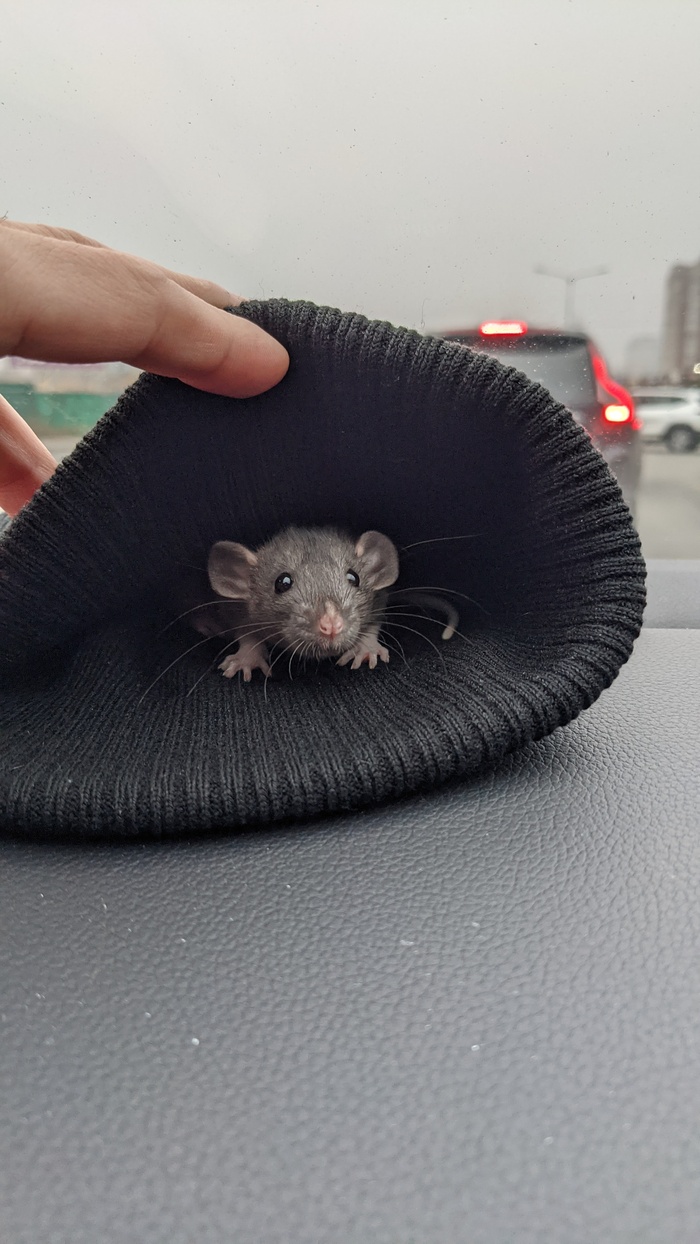 Ну, вдруг хороший совет попадется)