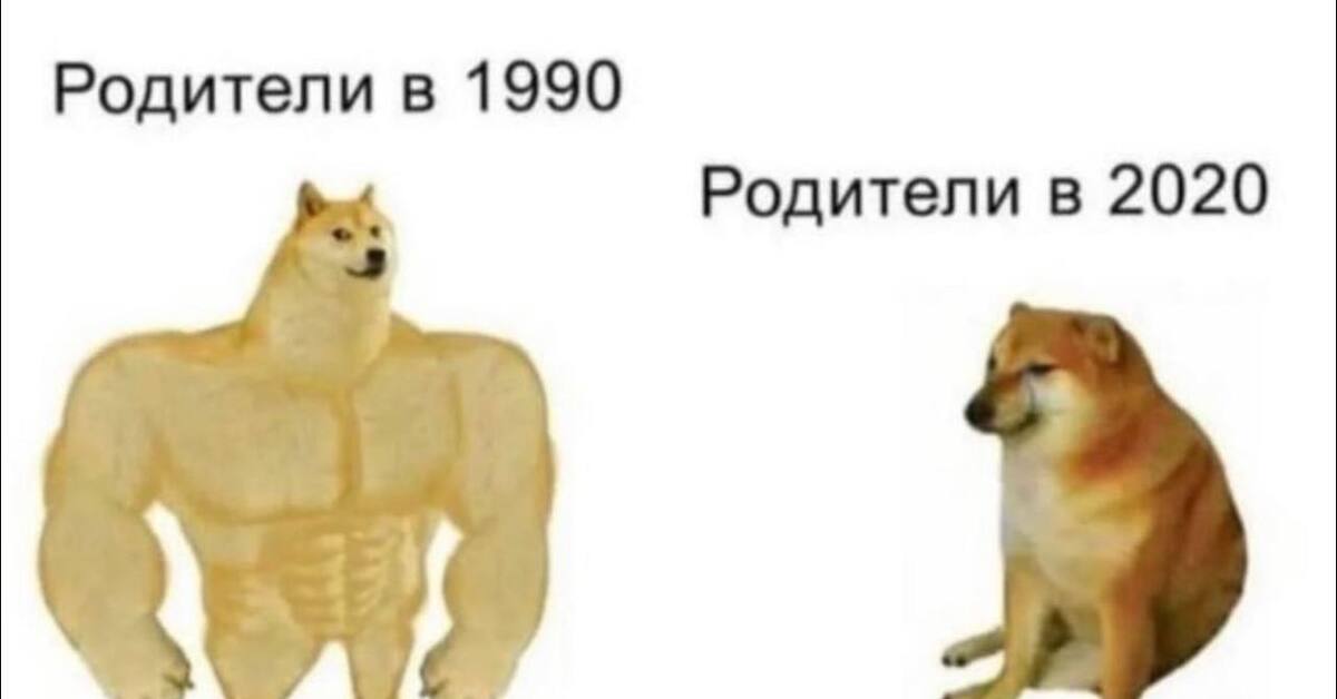 Чиловый парень мем собака откуда Радуга Пикабу