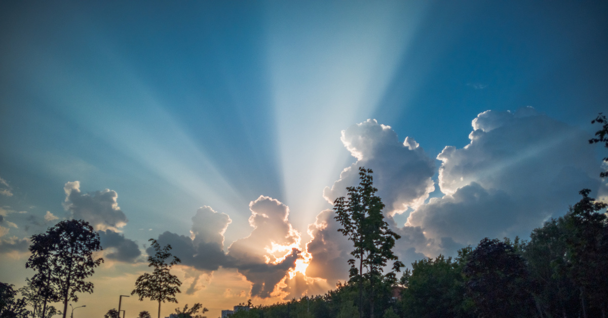 утро природа. город в лучах солнца. солнечный луч на московском. лучи солнца. медицинский центр московское шоссе 20 рязань.