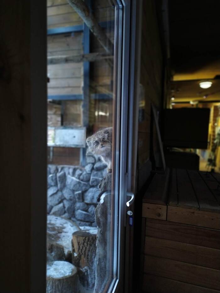 Вам в соседнее окошко