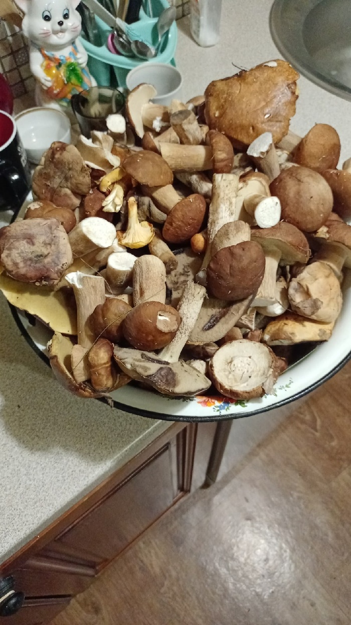 �������� �����