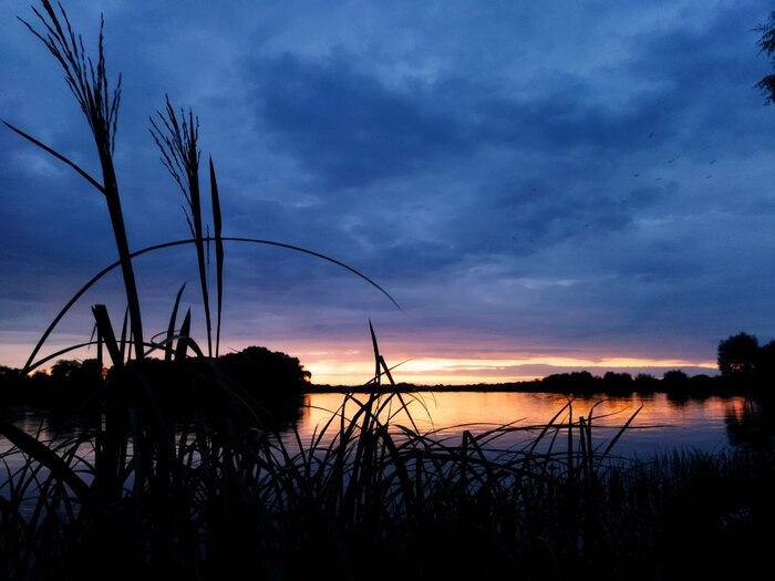 ������ ������� ������