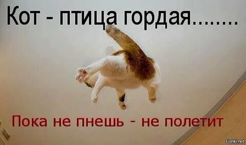 ����� �� ���� �� ��� ������ ��� �� ����������� �����