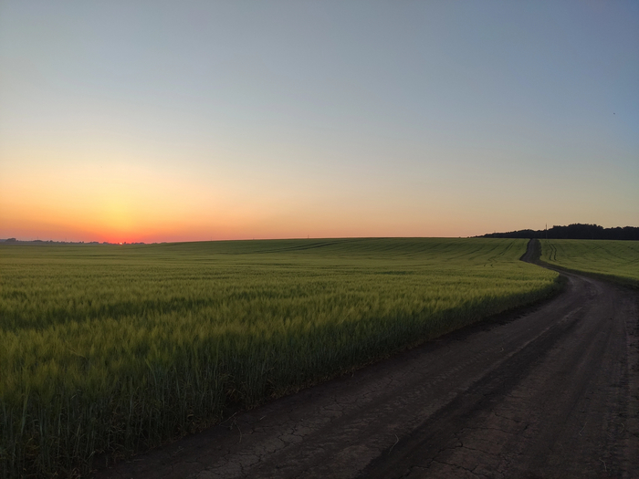 Как-то в поле на закате