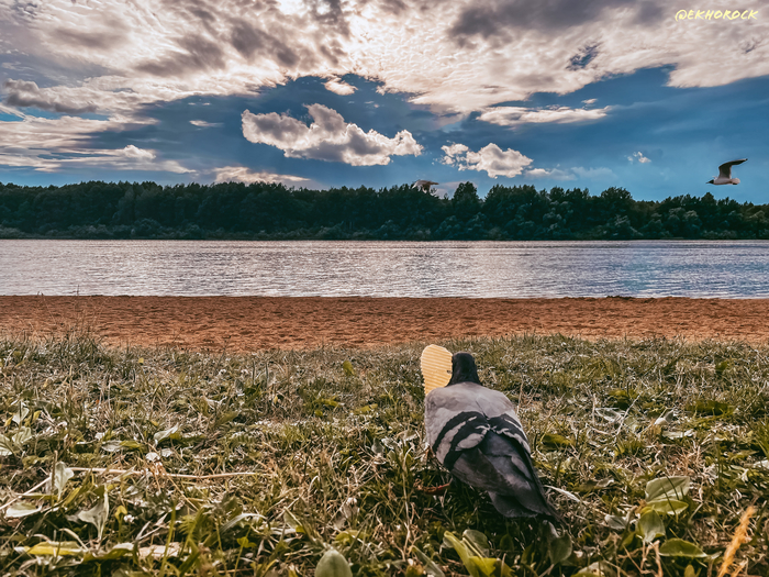 Я в cвоём познании настолько преисполнился…