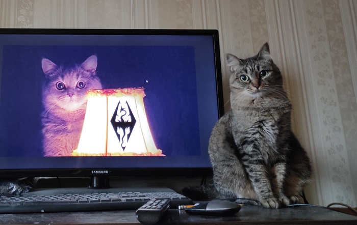 �������� ���������