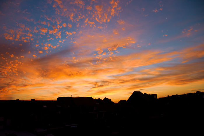 ��� ���� �����...