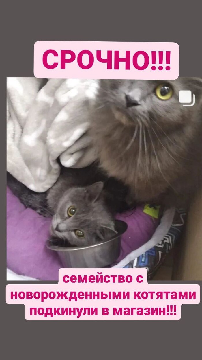 ��������� ���������. ���� ����������