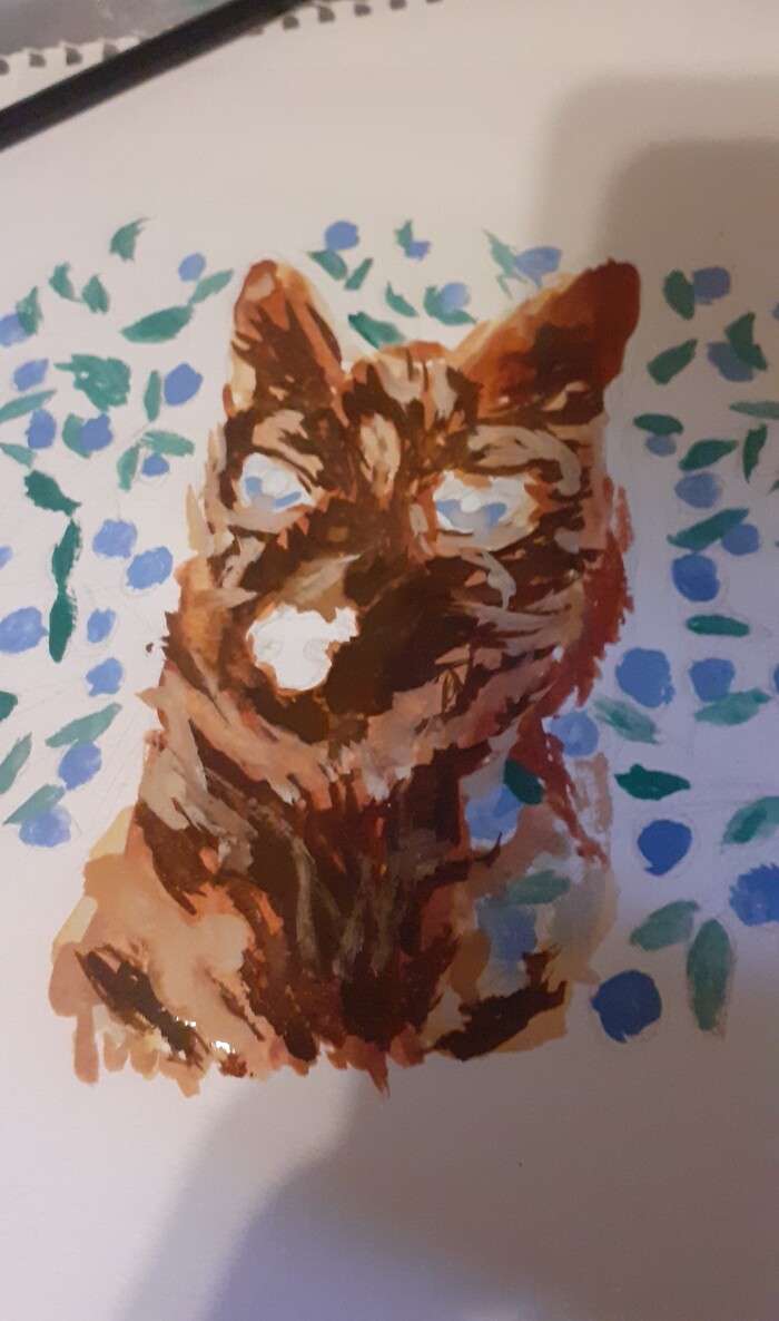 Хаски Агути