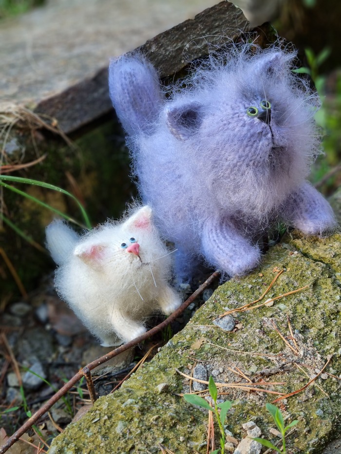 Котосемья...