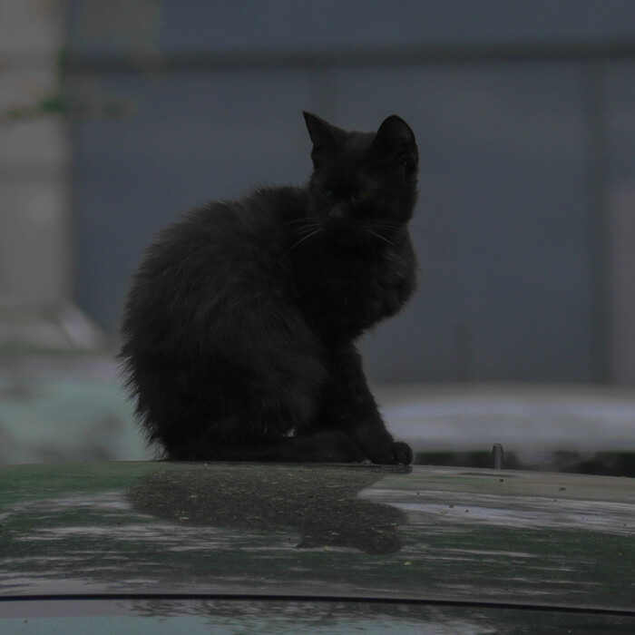 ������������