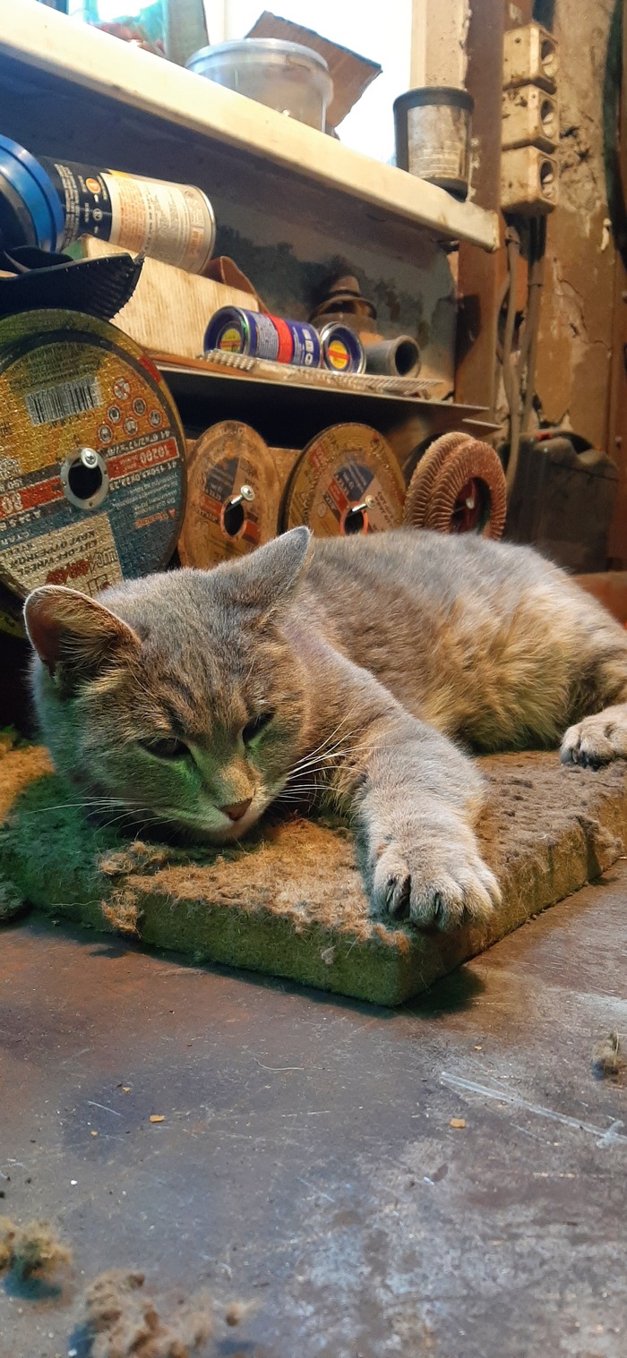 ��������� ������