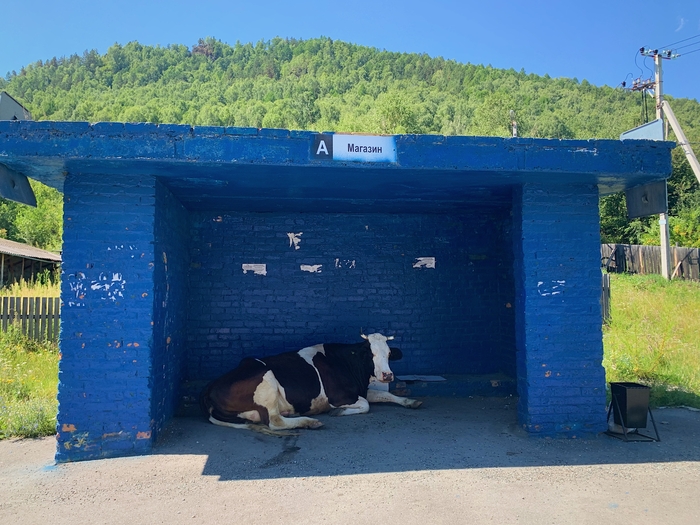 ������� ��������