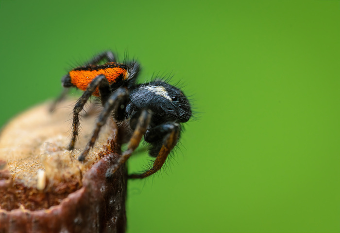  #8 , , ,  , , -, , , , Nikon, Nikon d5100, Sigma, 