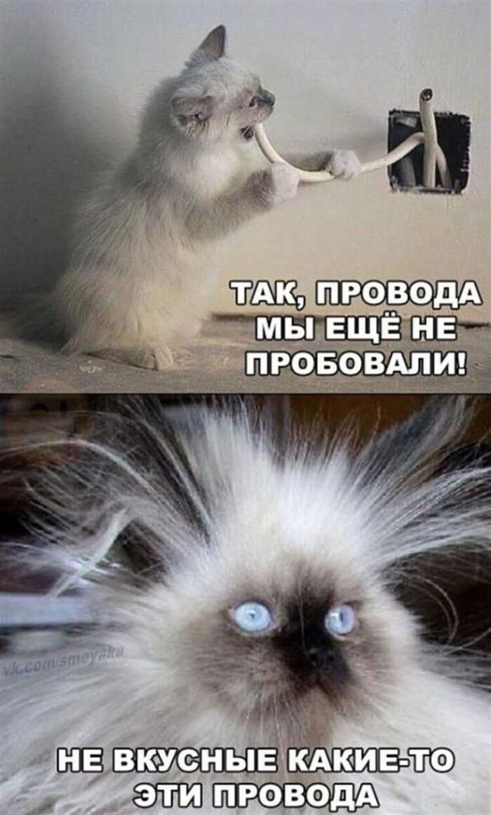 �� ������� �������