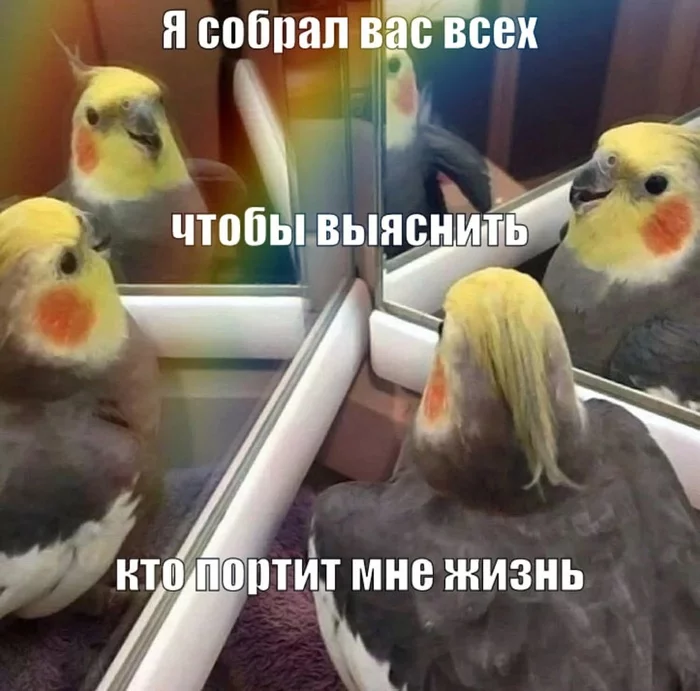 16592488931685043.webp