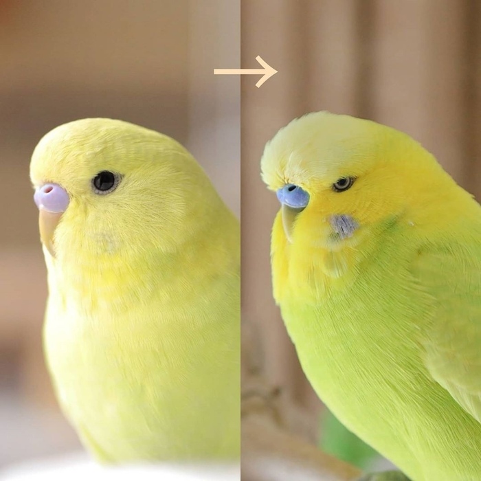 Повзрослел