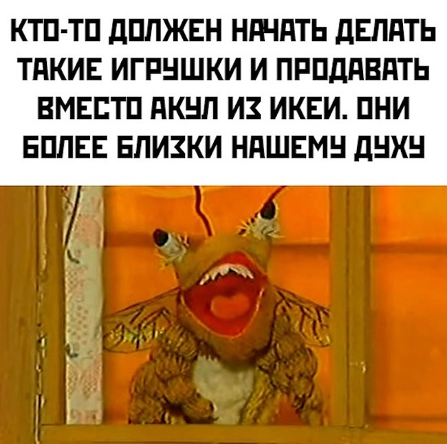 Ловите самое смешную фотку