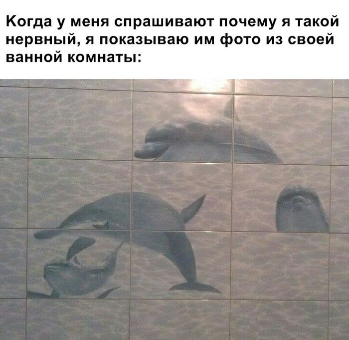 �� ���� �������� �����