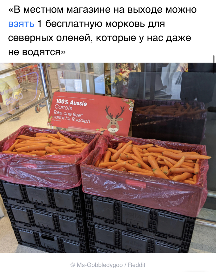 �� ������ ������