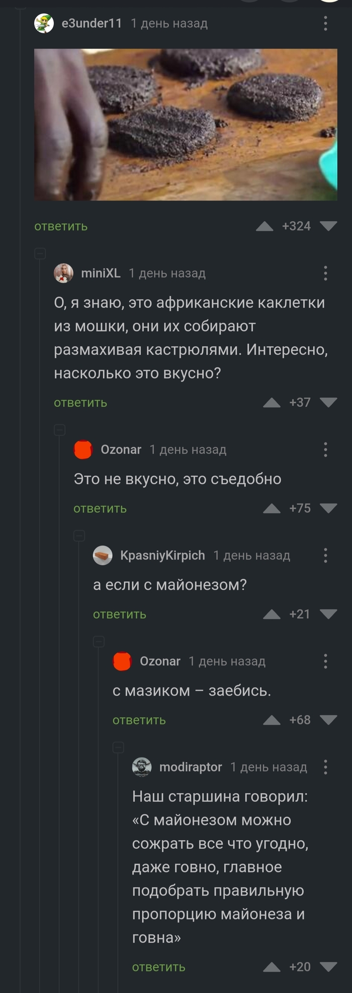 Котлеты из мошкары