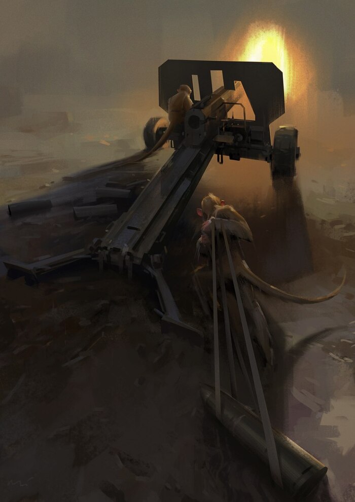   (Michal Lisowski) , , ,  , 