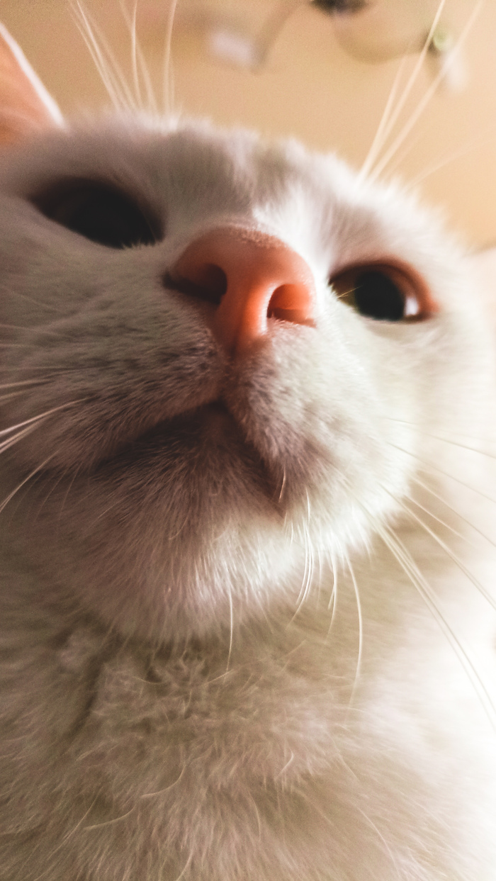 ������ ����. � ����� �����